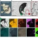 镍全新冶炼方法登上Nature!!!