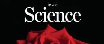 Science重磅|从绝望到奇迹！95后女博士连发顶刊，石墨烯材料颠覆性发现，破解百年难题