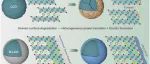 北大潘锋教授团队AFM：硼基CEI结构电化学自组装稳定4.65V高电压钴酸锂