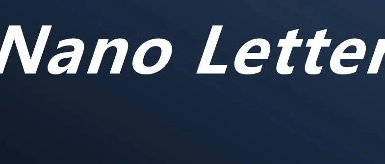 华中科大Nano Letters: 用于神经形态计算的二维铁磁体器件