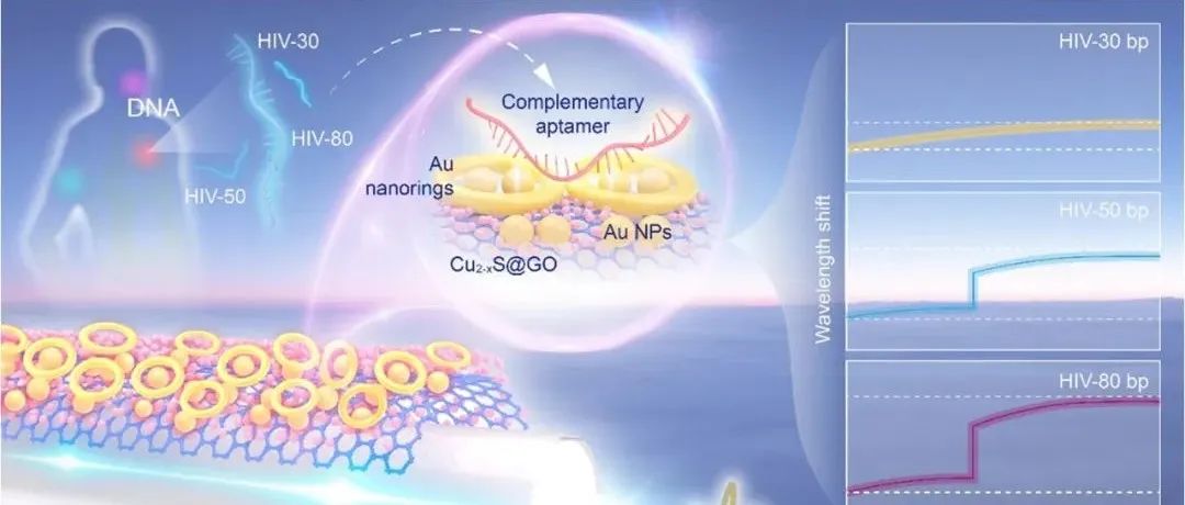Nano Letters：微纳光纤传感器实现无扩增核酸单分子检测