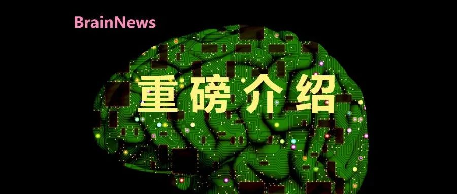 国家重点研发计划颠覆性技术创新重点专项2025年度脑机系统领域项目申报指引发布