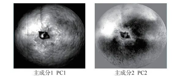 浙江省农业科学院农产品质量安全与营养研究所袁玉伟研究员等：基于高光谱成像技术的橙子可溶性固形物和可滴定酸含量无损预测研究