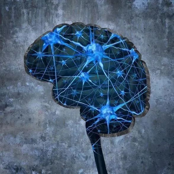 有望治疗中风后脑损伤！改造经典药物，科学家设计出新型免疫调节剂