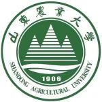 山东农业大学副院长团队本科生独立第一作者在Top期刊（IF=8）发表研究成果，利用银杏落叶防控马铃薯疮痂病，生态防控显奇效！