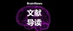 阿片类药物如何“操控”大脑？超声功能（fUS）成像研究带来重大发现