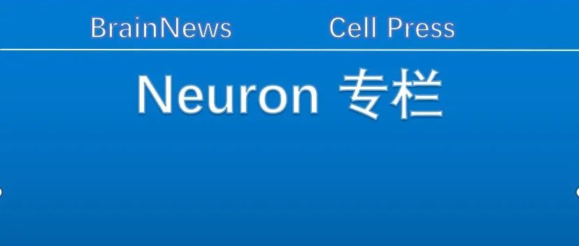 Neuron：深圳先进院脑所/深港脑院王立平/刘雪梅团队解析本能恐惧反应策略个体差异的神经环路机制