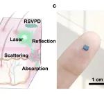 东南大学管英士教授课题组 ACS Nano：橡胶态可拉伸垂直结构光电探测器