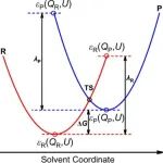 (纯计算)西南大学/中科院重庆绿色智能技术研究院ACS Catal.: 基于巨正则DFT的二维单原子催化剂电催化建模最优解