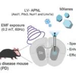 Biomaterials：利用Nano-PROTAC诱导的EZH2降解和免疫增强实现肉瘤治疗