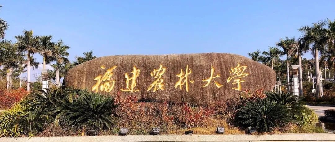 祝贺！福建农林大学3名青年教师