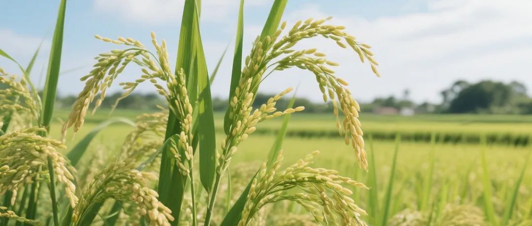 震撼！接连在Nature、Science发多篇文章，在植物研究领域有多牛？