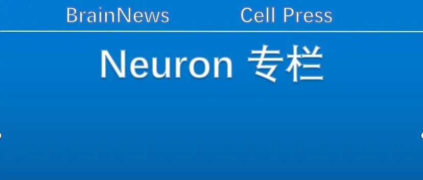 Neuron重要综述：全面总结突触功能背后的“隐形团队”——非神经元成分如何参与调控大脑可塑性？