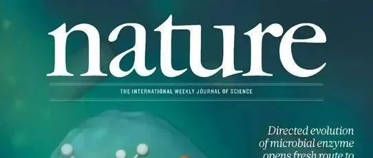 Nature发文直击中国科研困局：当"国际标准"撞上"国家战略"，科研评价体系撕裂了谁？