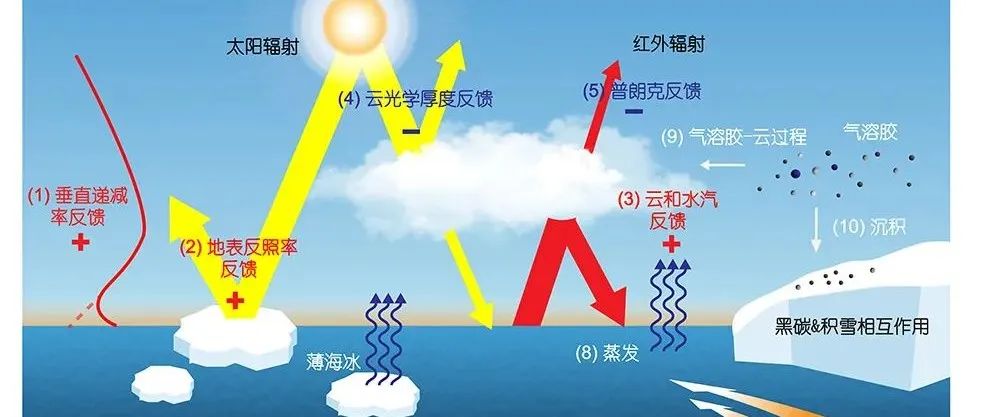 “北极放大”现象驱动机制的研究进展