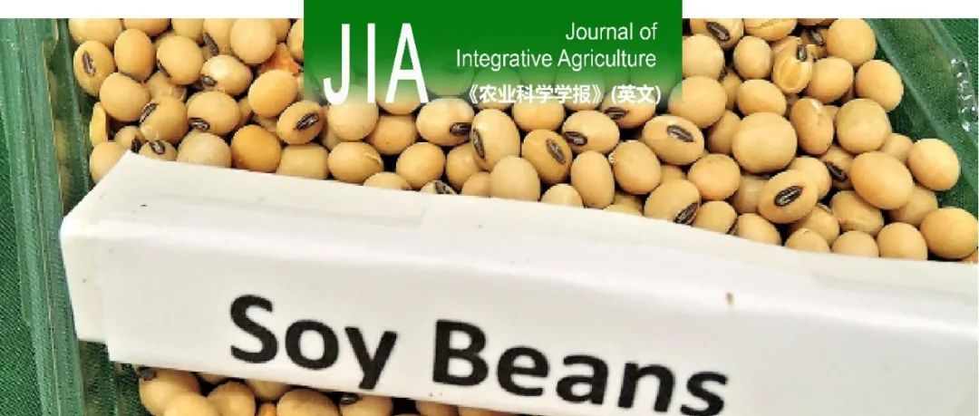 JIA｜兰州大学草田轮作研究团队沈禹颖教授课题组大豆饲用改良途径研究
