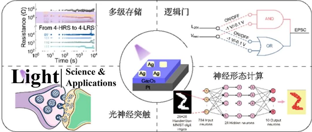 常晶晶/林珍华/李昀等Light丨多功能集成Ga&#8322;O&#8323;基光电忆阻器