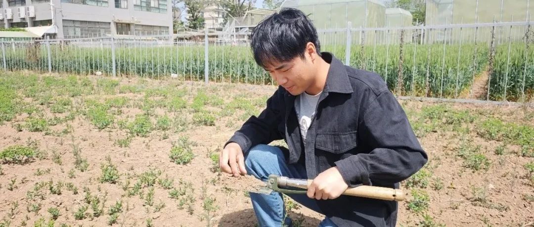祝贺！西北农林科技大学副教授