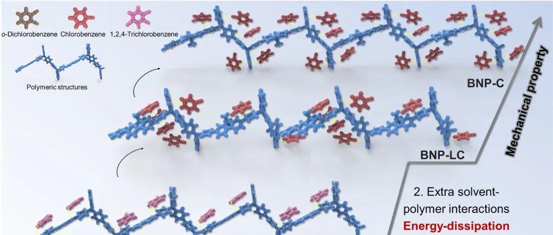 浙江大学黄飞鹤/李光锋团队 JACS: 设计高机械性能有机聚合物晶体的应力分散和能量耗散策略