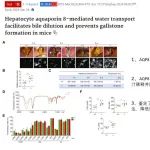 Journal of hepatology & Gastroenterology | 期刊学习