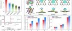 楼雄文院士，最新Science子刊：氮磷共掺杂的大孔碳纤维复合 CoP 纳米颗粒用于构建可折叠无负极钠电池