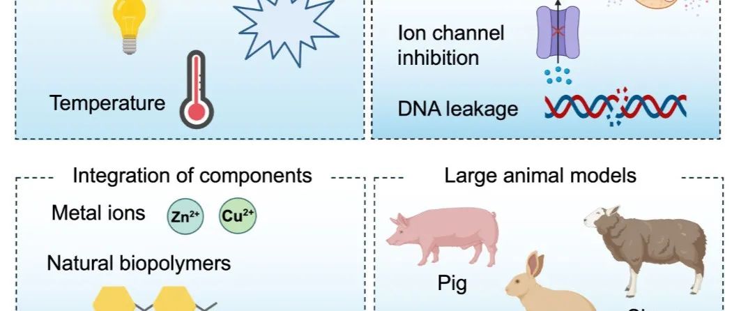 【Angew.Chem.Int.Ed.】抗菌酚醛材料：从组装到功能-墨尔本大学Frank Caruso教授