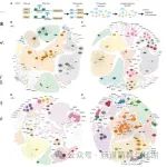 Mucosal Immunology & Science Immunology | 期刊学习  &#8203;