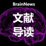 NB封面文章：全脑图谱揭秘注意力的“神经交响乐”——丘脑竟是幕后指挥家