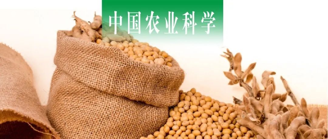 中国农业科学｜河北省农林科学院联合中国农科院研究大豆生育期基因E1和E2的启动子及其表达模式