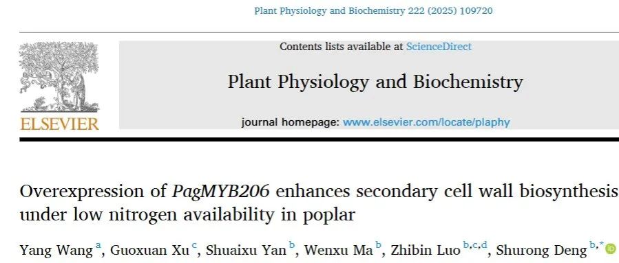 文献分享|过表达PagMYB206促进低氮条件下杨树次生细胞壁生物合成
