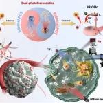 厦门大学陆治香、刘刚/厦门大学附属第一医院温晓斐等Biomaterials：基于Ir有机金属化合物的“双引擎”光激活诊疗新策略