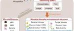 微塑料meta| AGRIC ECOSYST ENVIRON： 基于meta分析的微塑料对土壤微生物多样性与群落结构影响研究