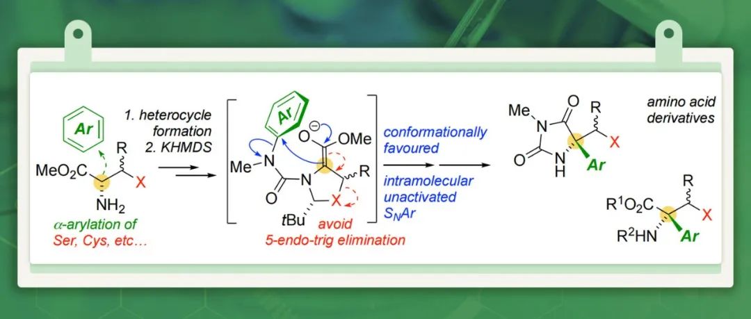 【Angew. Chem.】默克奖得主Clayden：含β-离去基团极性氨基酸的不对称分子内α-芳基化反应