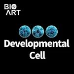 Developmental Cell | 刘石平团队解读基因组进化对羊膜类大脑细胞类型多样性的适应性驱动机制
