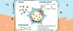 【Angew. Chem.】暨南大学宁国宏/李丹Angew Hot Paper：环三核基共价金属有机框架高效金回收！