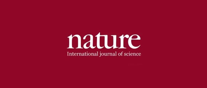 《Nature》杀疯了！这个团队颠覆石墨烯复合材料研究逻辑，成功抑制材料结构缺陷！