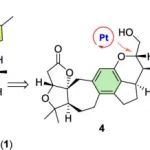 昆明植物所杨玉荣研究员团队JACS：五味子降三萜(+)-Rubriflordilactone A的催化不对称全合成