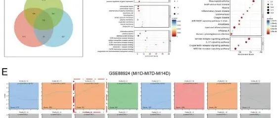 Adv Sci丨同济大学魏毅东等研究发现MCPIP1 是调节铁死亡和心脾通讯以保护心肌梗死后心脏功能的有希望的治疗靶点