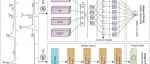 Adv Sci丨中国农业科学院李慧慧团队揭示植物的耐盐机制：将 KANMB 机器学习模型与代谢组学和转录组学分析相结合