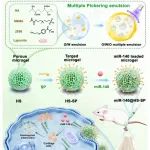 四川大学沈彬教授团队 AFM: 用于骨关节炎靶向协同治疗的多孔、小尺寸和润滑微凝胶