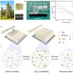 上海交大王如竹教授ITEWA团队《AFM》：3D打印仿生多孔吸湿材料实现快速除湿和再生
