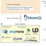 质谱技术-查询语言MassQL | Nature Methods