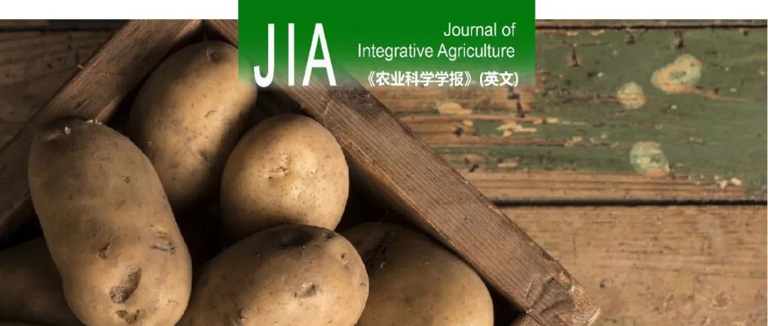 JIA｜中国农科院深圳农业基因组所张春芝研究员揭示马铃薯自交不亲和位点的遗传多样性奥秘