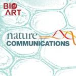 Nat Commun | 李俊/饶子和/杨海涛团队揭示一种抗结核药物外排泵及其底物转运新机制