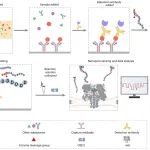 Nat Nanotechnol丨中科院化学研究所吴海臣等开发了一种基于α-溶血素-纳米孔的ELISA，用于检测癌症生物标志物