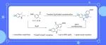 【J. Org. Chem.】武汉工程大学贾丰成/古双喜团队：串联芳香亲核取代/羟醛缩合制备含季碳中心的2,3-稠合吲哚啉