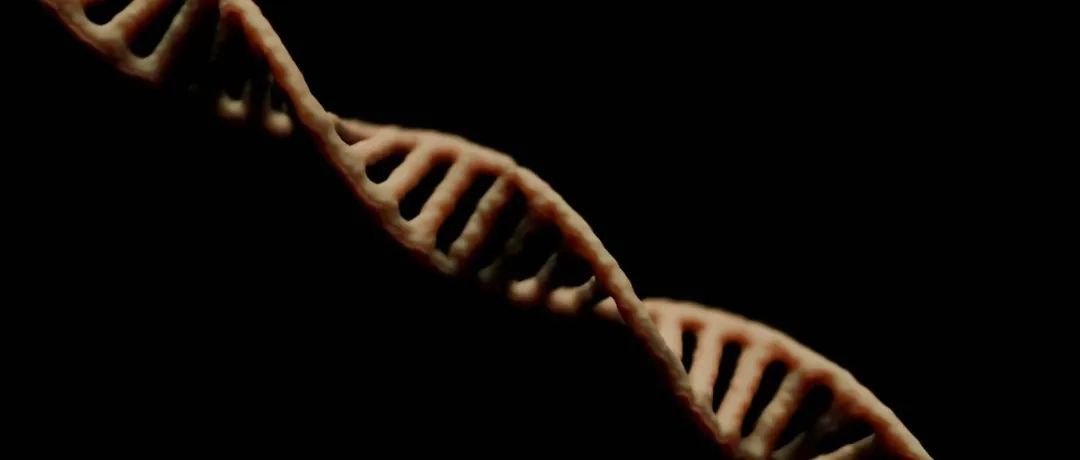 这位活到117岁的超级老人去世后，科学家发现她的基因强得可怕｜《自然》：能量饮料里的牛磺酸，可能助长白血病｜本周值得读