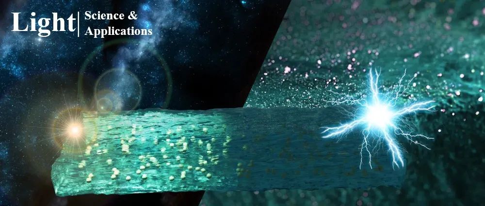张荣君/韦晓玲等Light |双步光诱导构建新型复合水凝胶敷料
