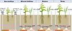农田无机碳研究丨AGR ECOSYST ENVIRON：长期矿物肥料施用对土壤碳酸盐释放CO2的影响被高估