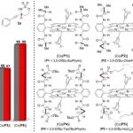 Peter Zhang课题组: 金属自由基催化体系实现1,6-C(sp&#179;)–H键胺化的位点/化学/对映选择性协同控制